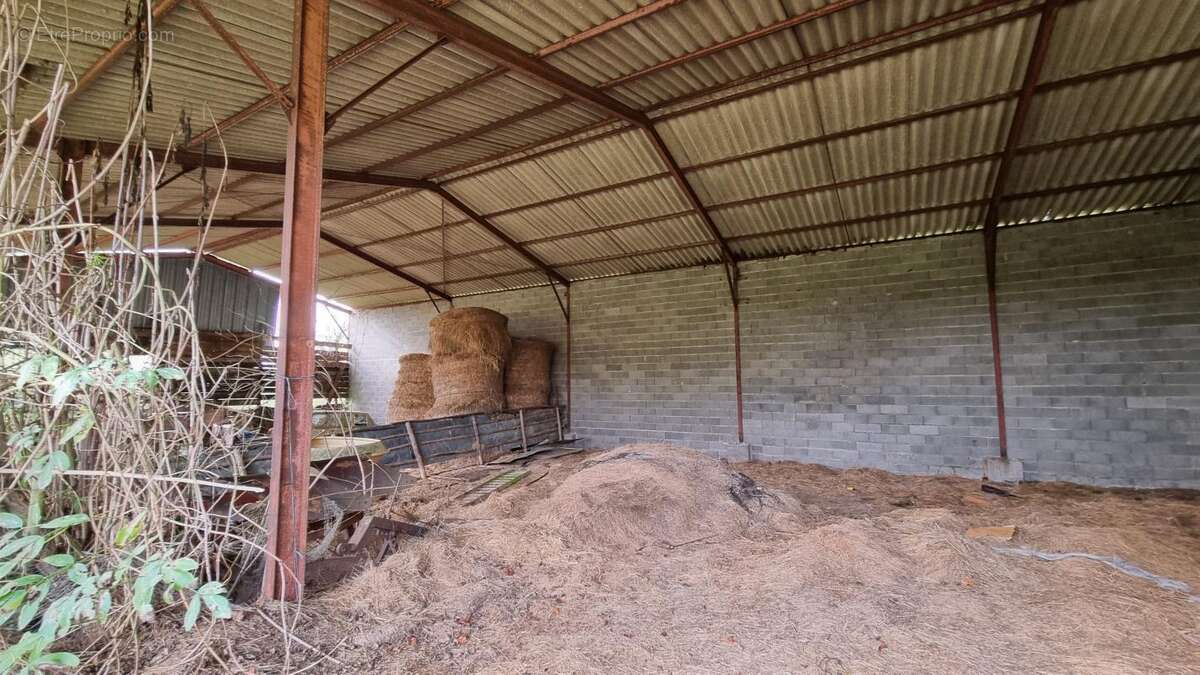 Maison à SAINT-FELIX-DE-VILLADEIX