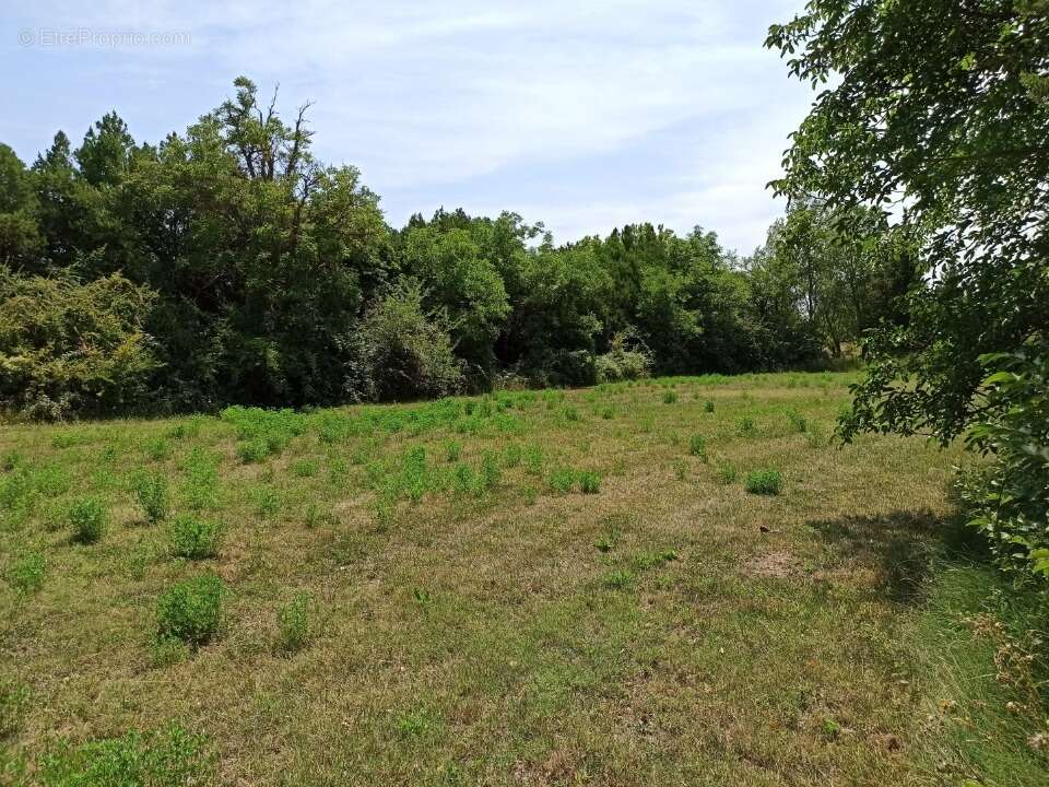 Terrain 350 m² à Senas  - photo 4