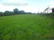 Terrain à MESNIL-CLINCHAMPS