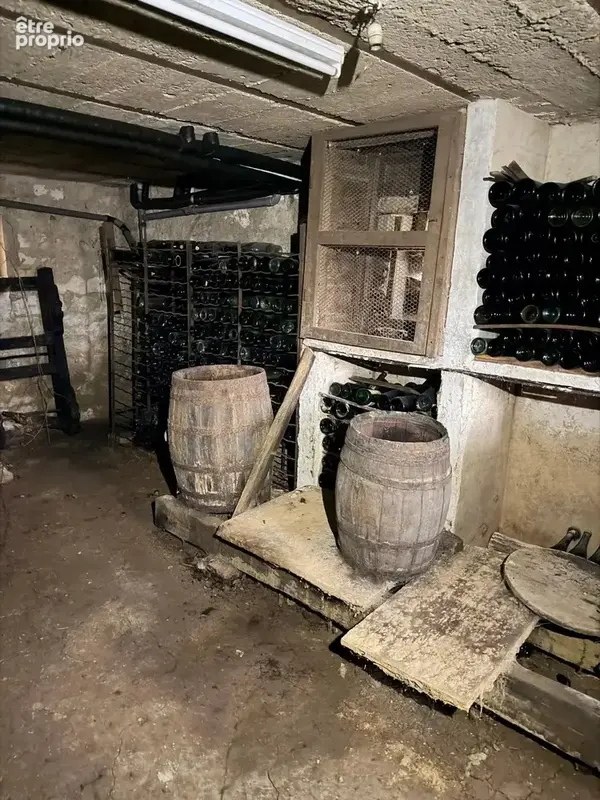 Coup de cœur assuré pour cette maison de caractère construite en 1925, à seulement 20 minutes d’Auxerre ! - photo 6
