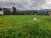 Terrain à PIGNANS
