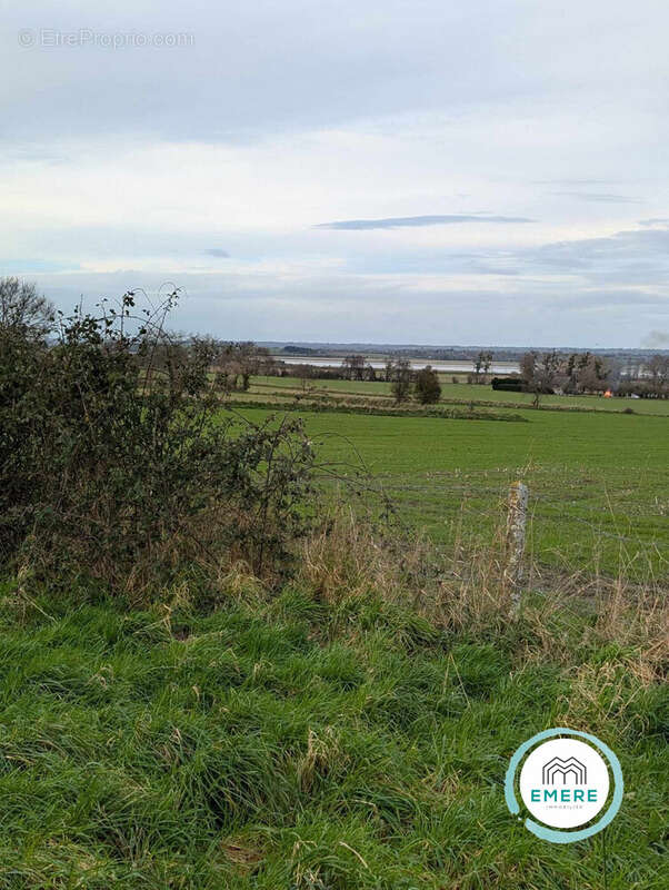 Terrain à COURTILS