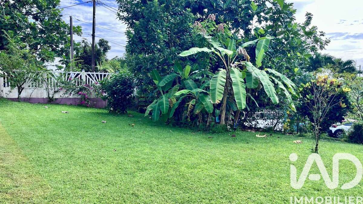 Photo 3 - Maison à RIVIERE-PILOTE