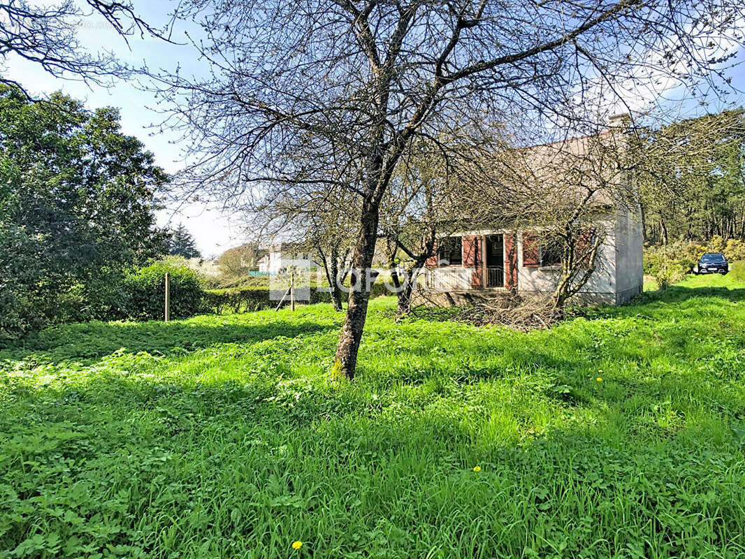 Maison à MONTENEUF