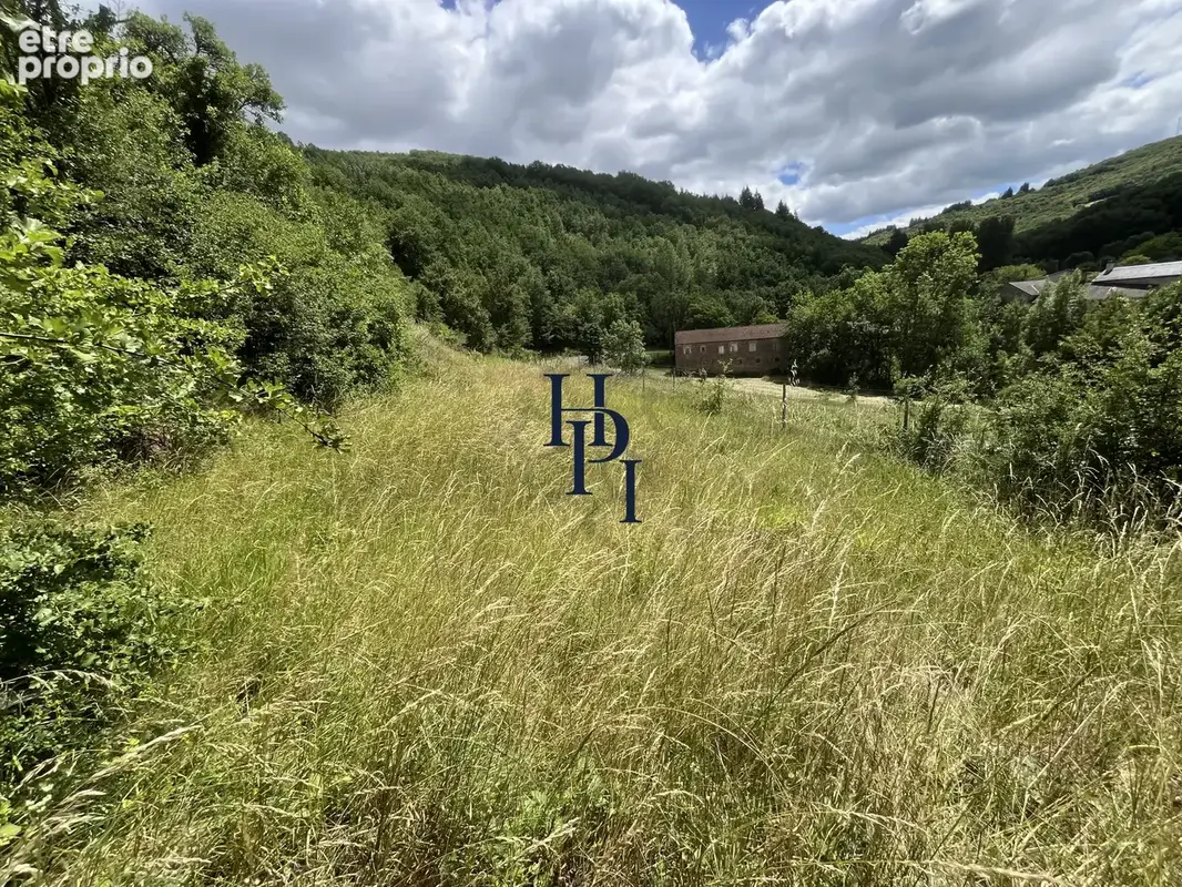 Vente maison St Affrique secteur Vallée du Rance, maison de campagne avec terrain - photo 2