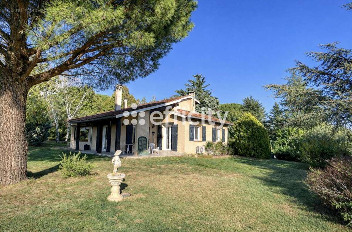 Maison à MONTLAUR