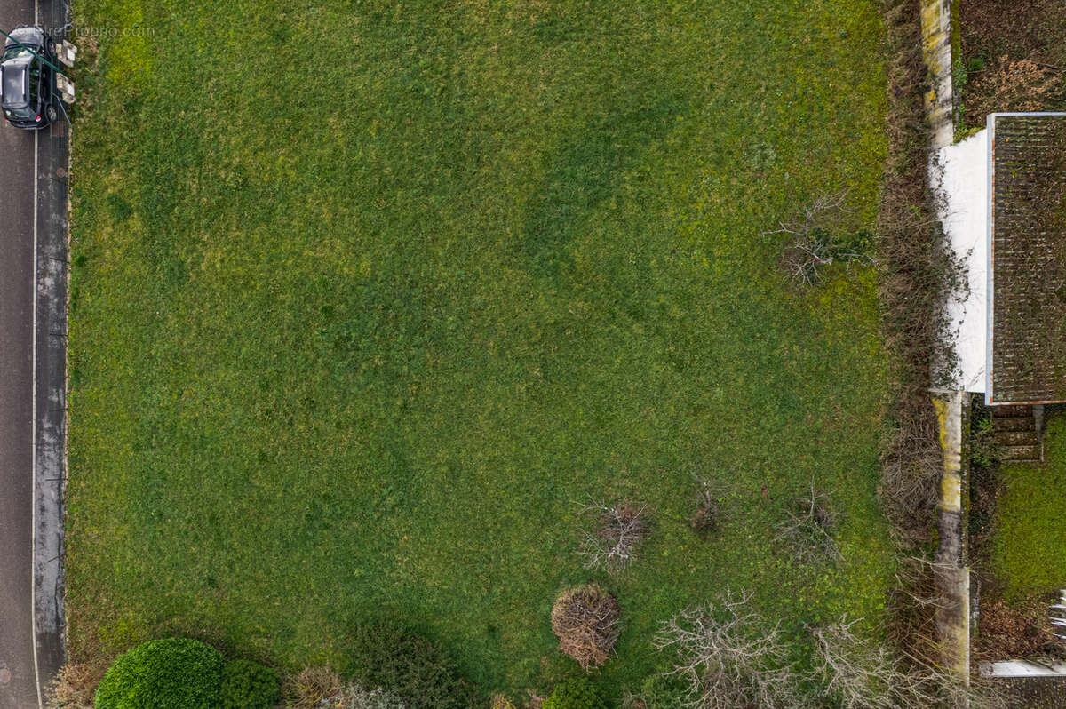 Terrain à SAULON-LA-RUE