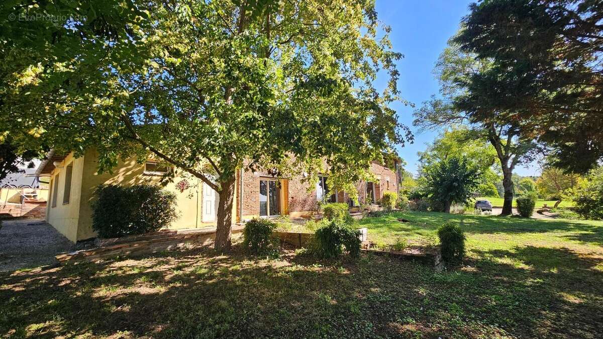 Photo 3 - Maison à MONTAUBAN