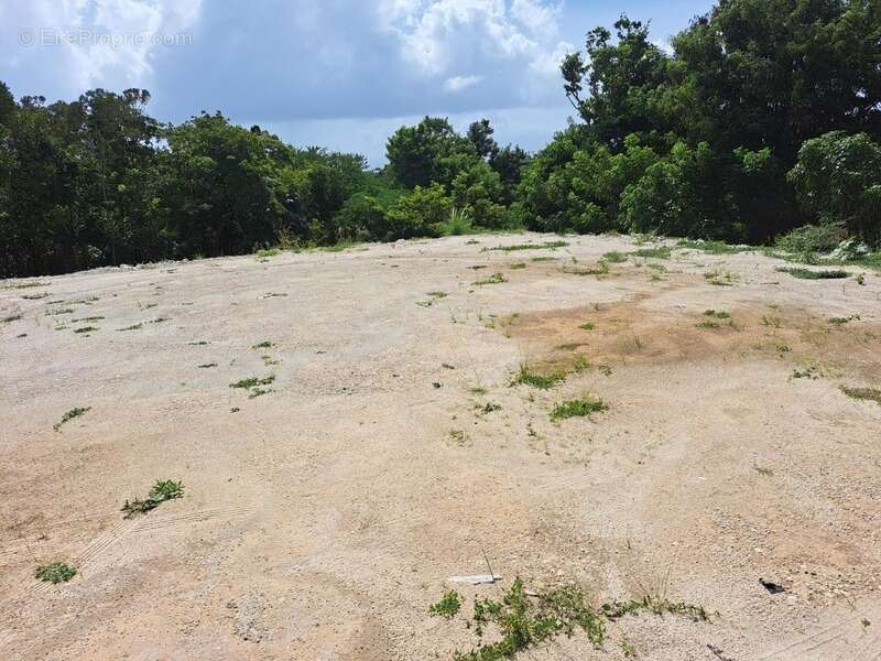 Terrain à LE GOSIER