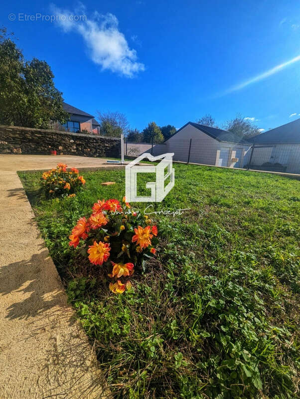 Maison à LUC-LA-PRIMAUBE