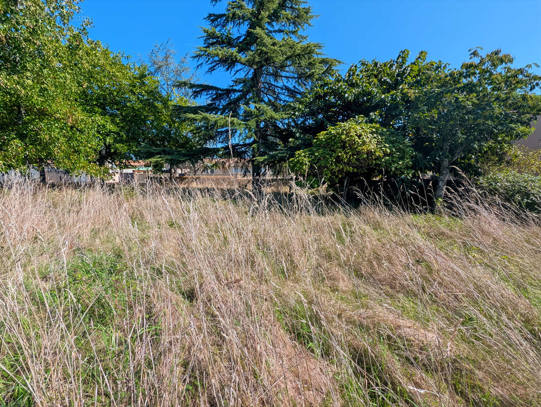 Terrain à LUDON-MEDOC