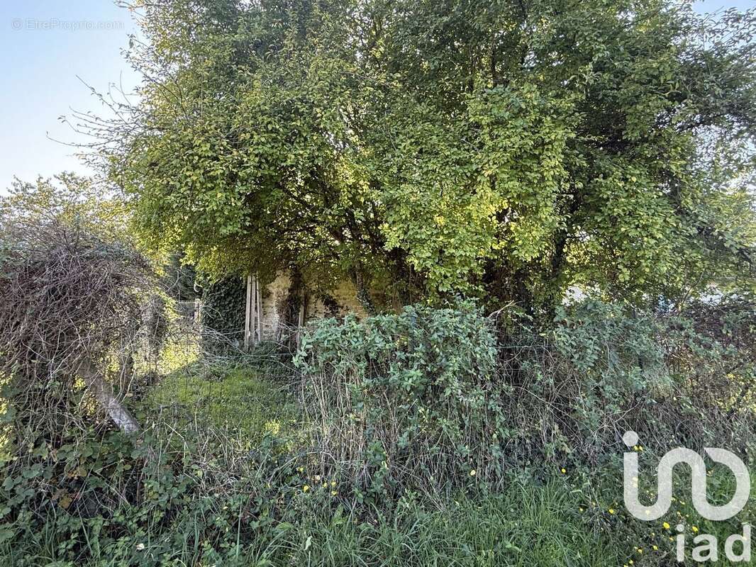 Photo 4 - Maison à SAINT-GEORGES-ANTIGNAC