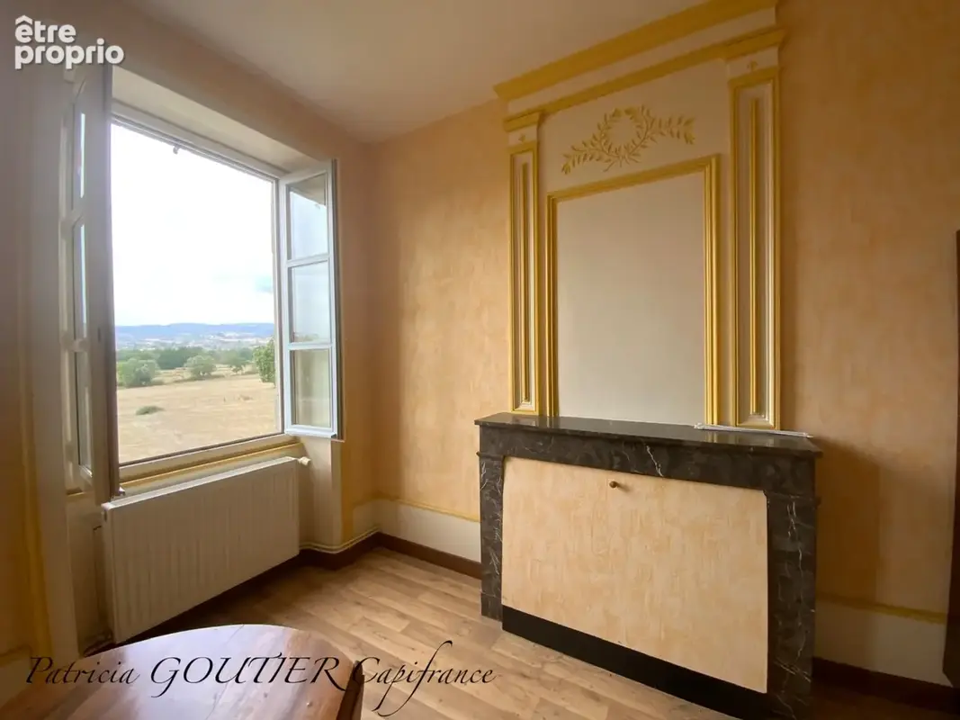 A  saint forgeux lespinasse (42) maison de caractere de 200 m2 avec dependances et terrain clos de 8400m2 - photo 11