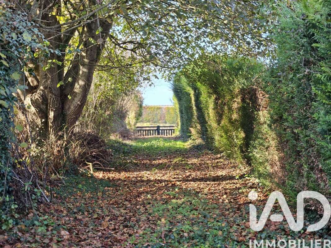 Photo 5 - Maison à DISSE-SOUS-LE-LUDE