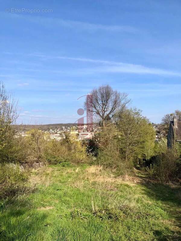 Terrain à THOMERY