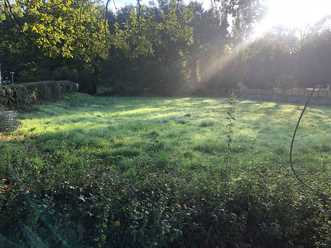 Terrain à SAINTE-FOY