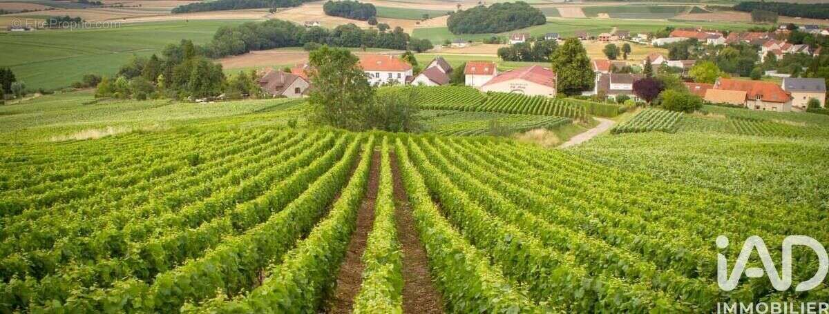 Photo 8 - Appartement à LES RICEYS