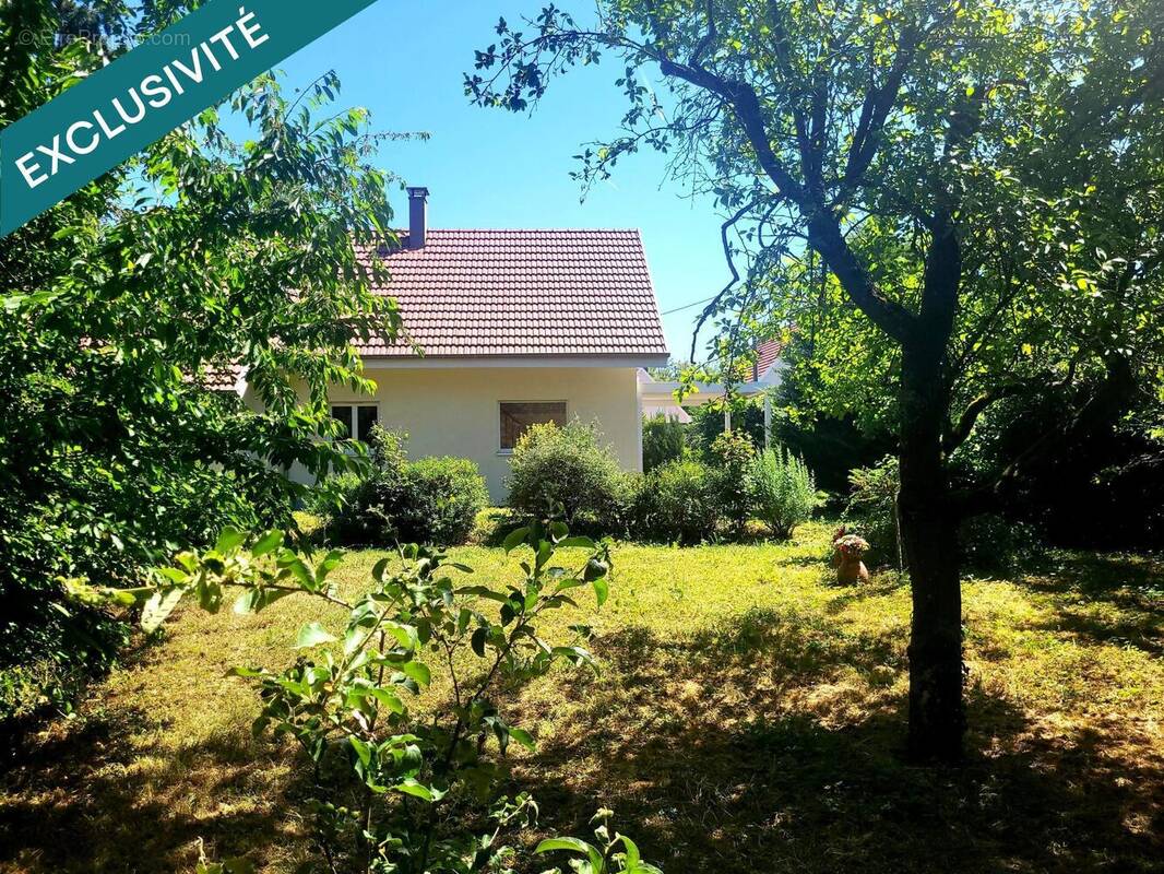Photo 1 - Maison à ENSISHEIM