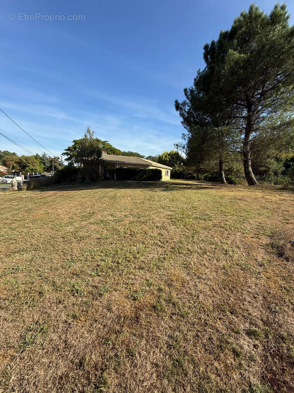 Maison à BELIN-BELIET