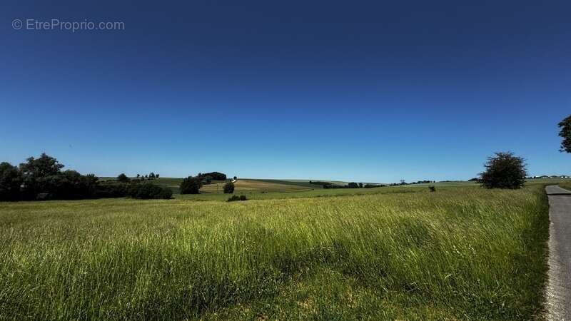 A vendre, Terrain de loisirs de 6 310 m² à Aincreville – Cadre naturel et nombreuses possibilités - photo 3