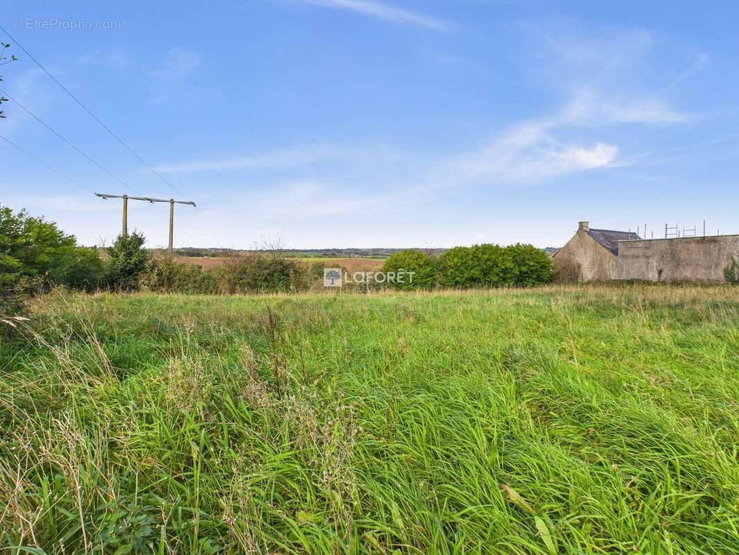 Terrain à SAINT-NIC