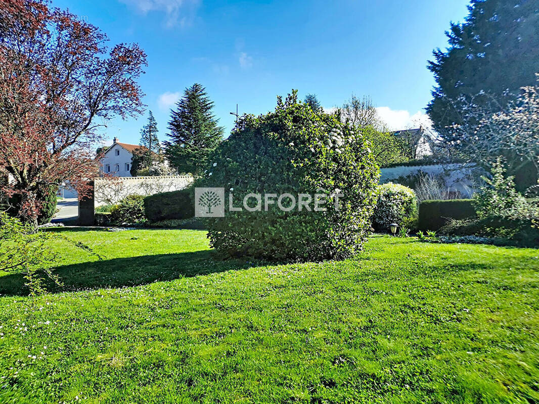 Terrain à NEUVILLE-SUR-SAONE