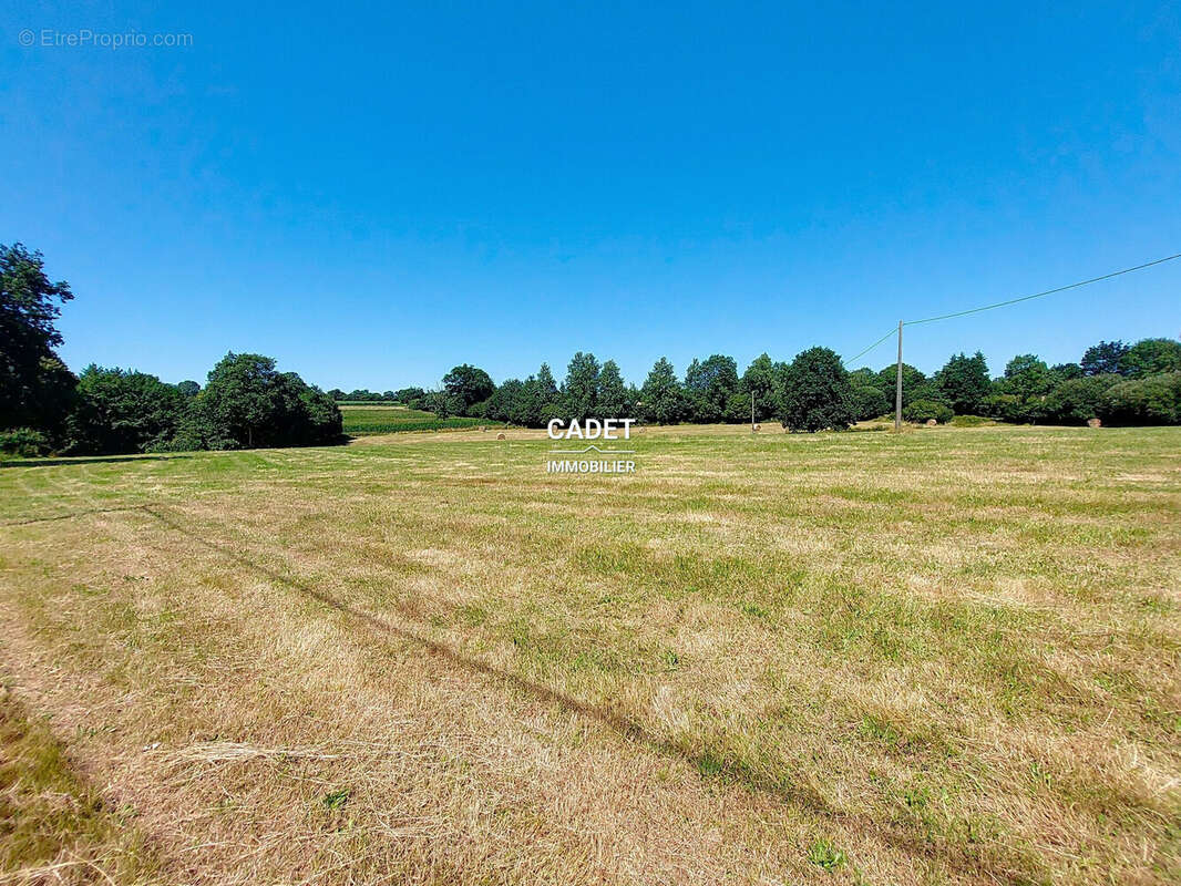 Terrain à LA HAYE-PESNEL