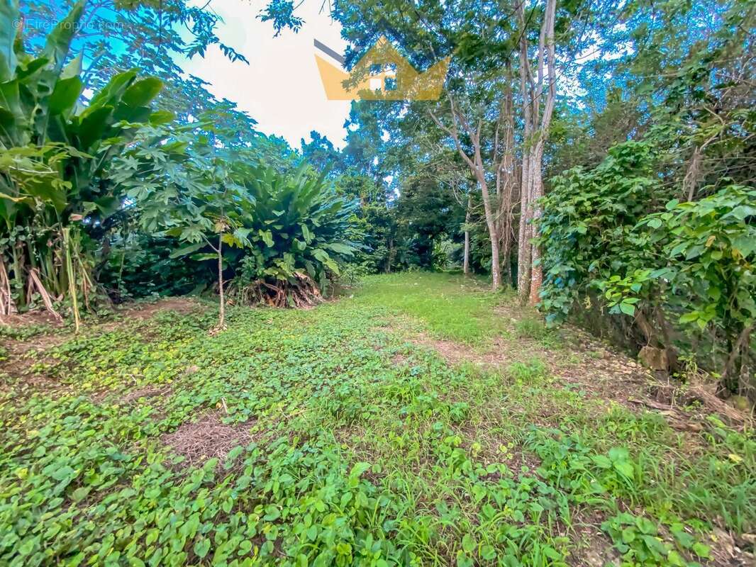 Terrain à PETIT-BOURG