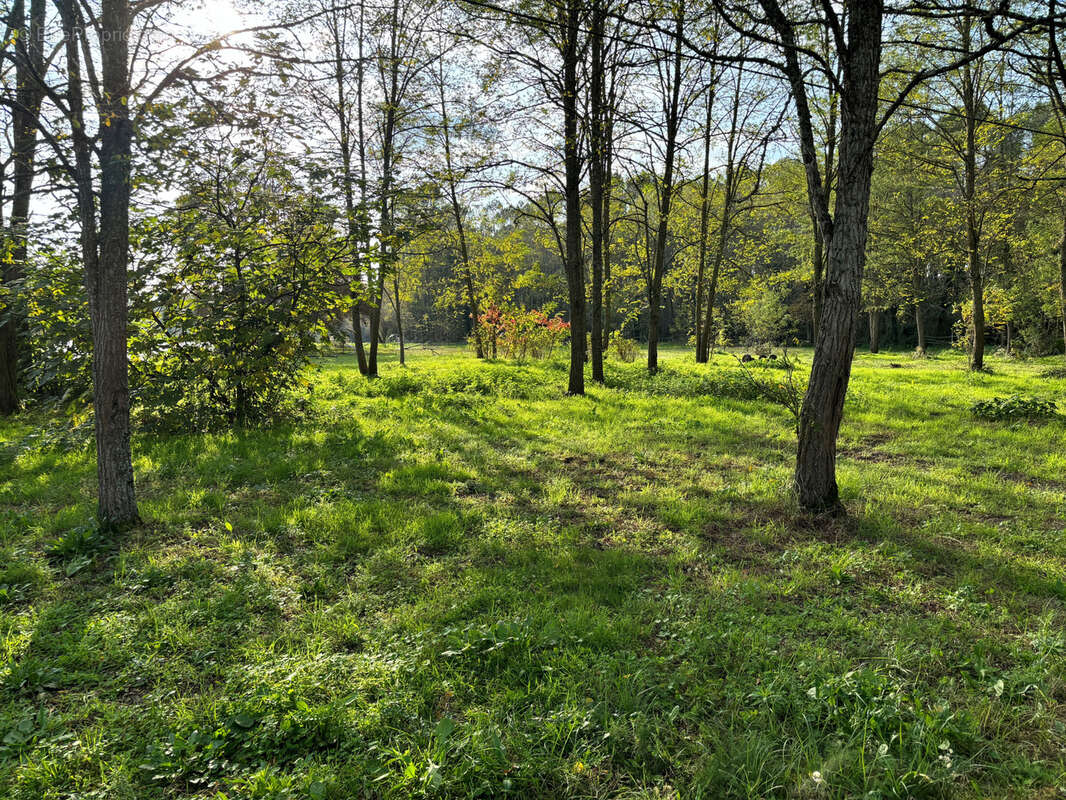 Maison à CASTELJALOUX