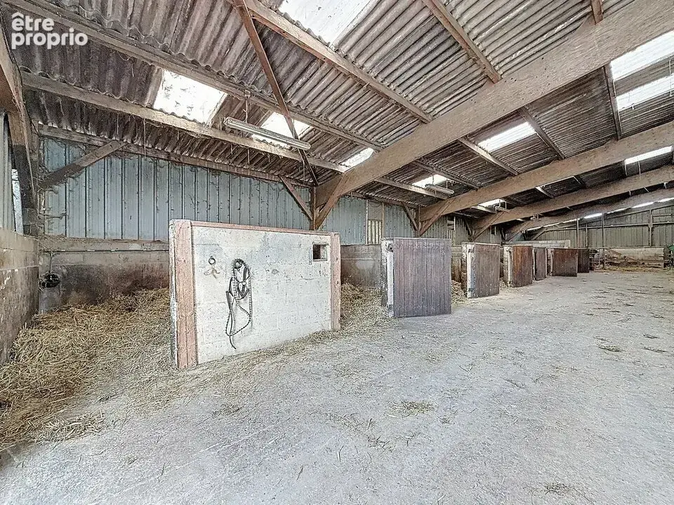 1390 m² à Franqueville-Saint-Pierre  - photo 8