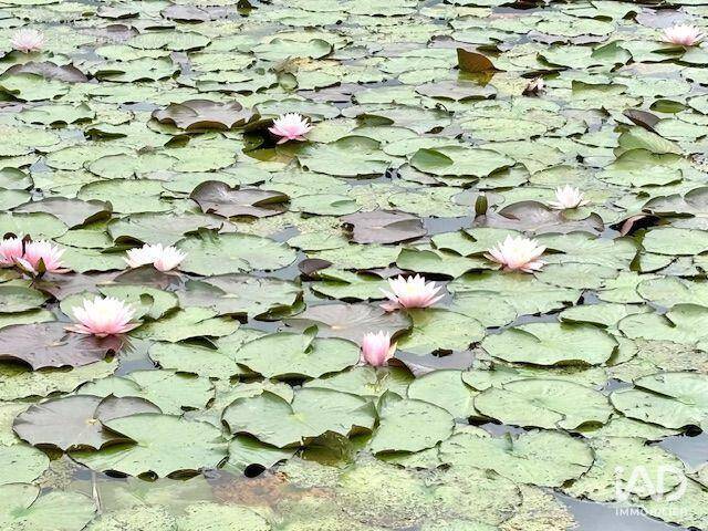 Photo 1 - Terrain à BOURGBARRE