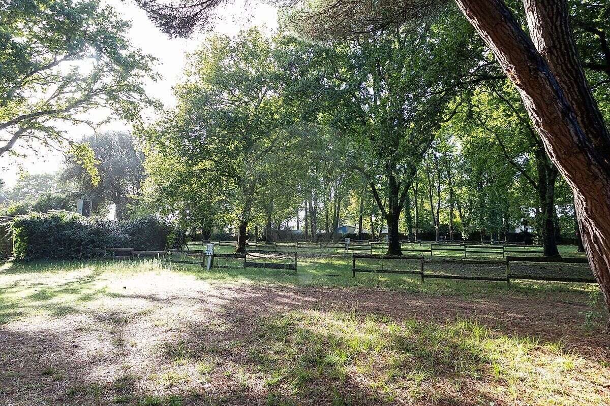 Terrain à MESCHERS-SUR-GIRONDE