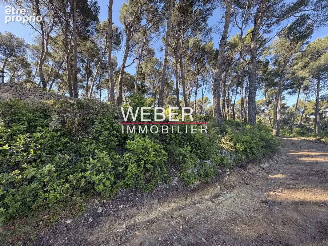 Ollioules - terrain a batir 6400 m2- vue degagee - photo 3