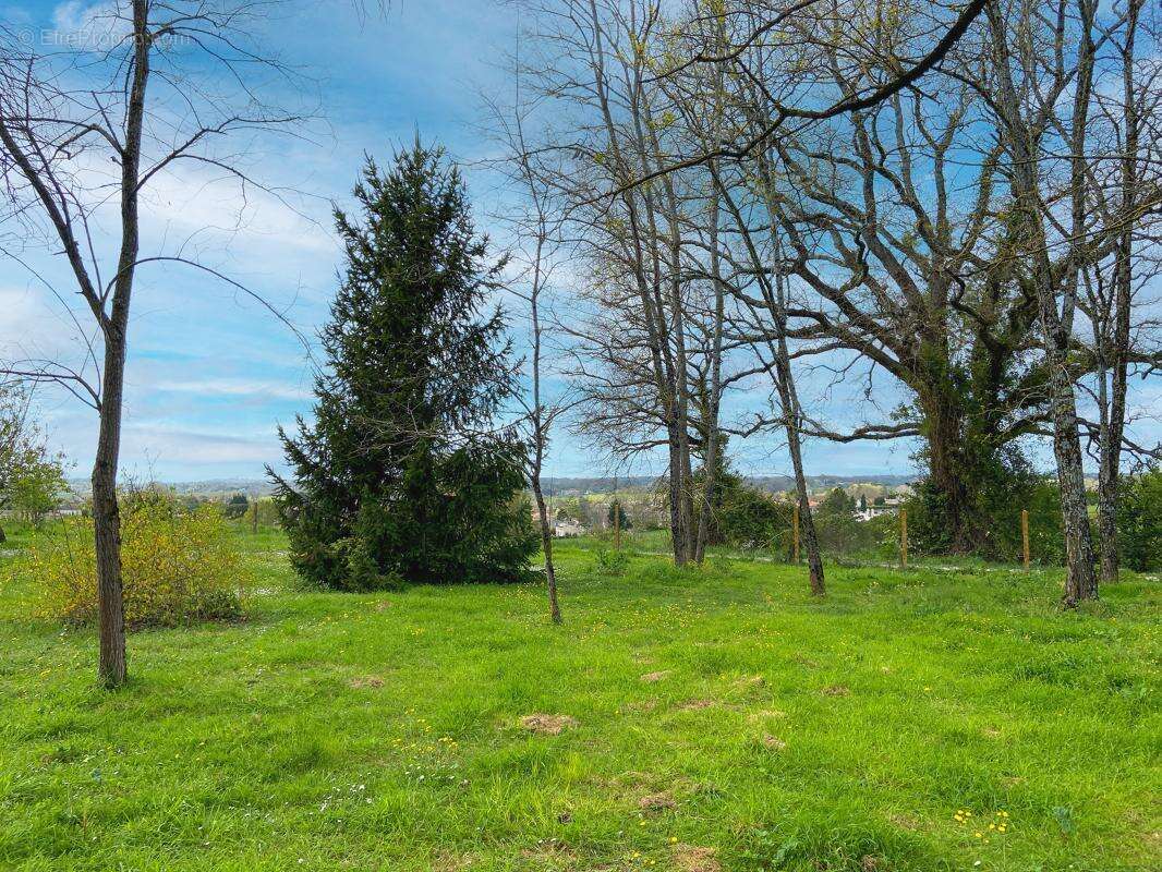 Terrain à LUGON-ET-L'ILE-DU-CARNAY