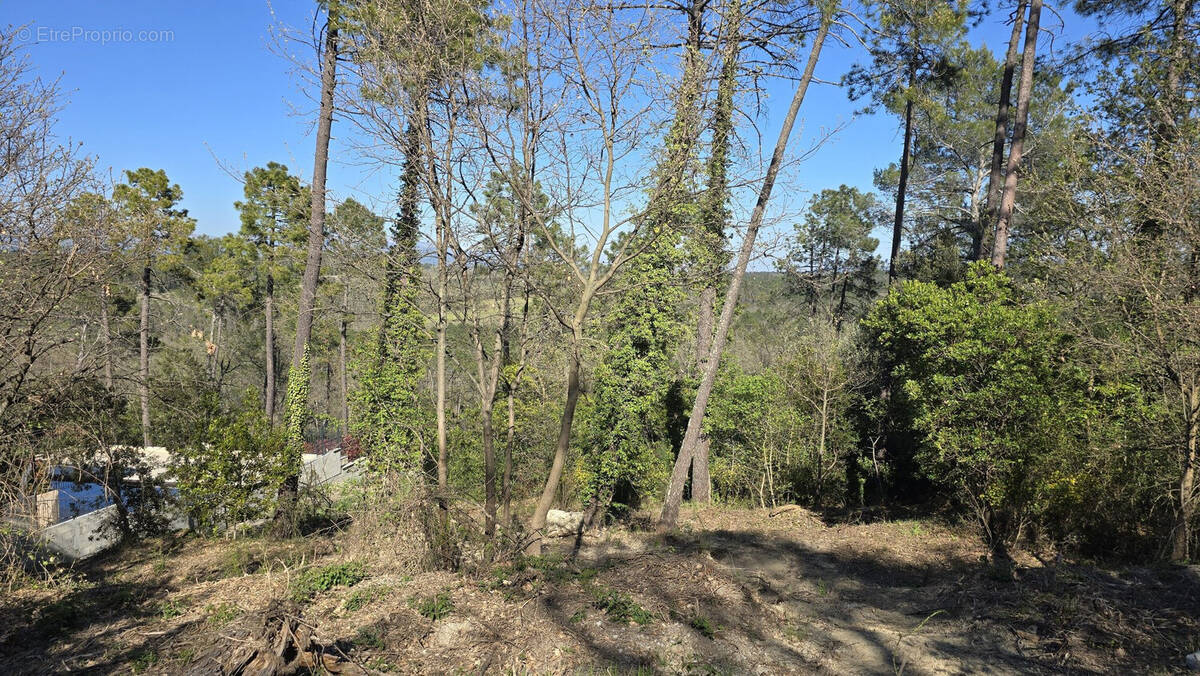Terrain à SAINT-PAUL-EN-FORET