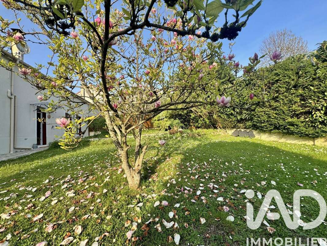 Photo 2 - Maison à DRAVEIL