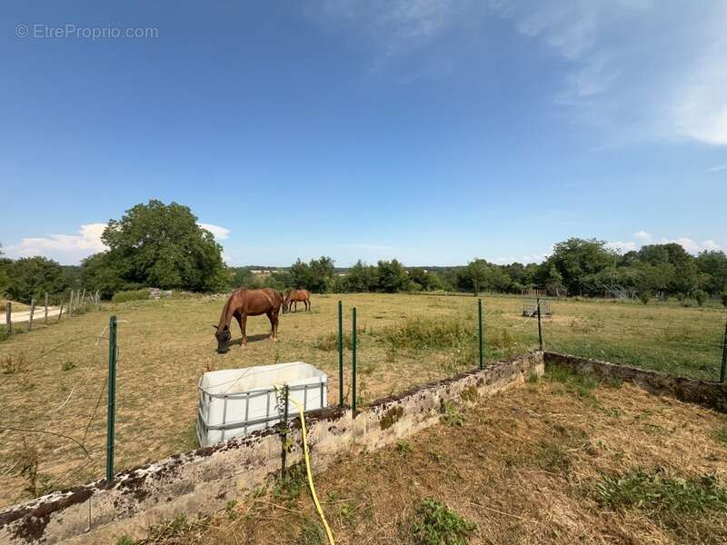 VAUCONCOURT NERVEZAIN (70) -  Propriété à vendre 6 pièces - 4 chambres - photo 15