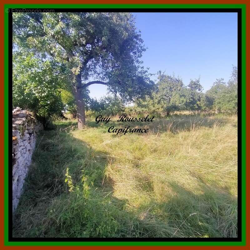 Terrain à vendre N°1  proche de VIC DE CHASSENAY  (21) - photo 2
