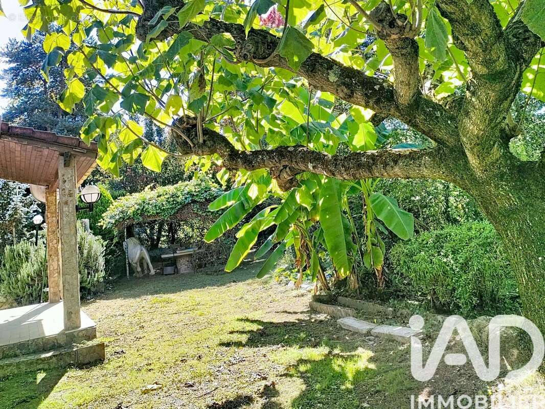 Photo 7 - Maison à CHANTEMERLE-LES-BLES