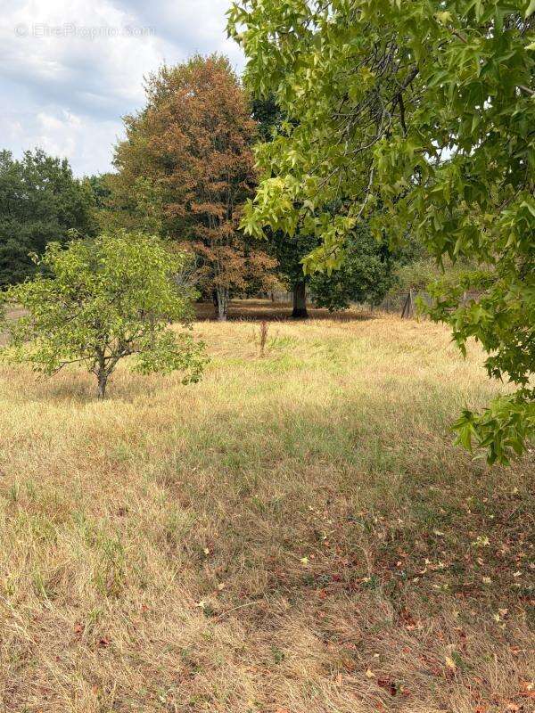 Saint Yrieix. Maison 190 m² sur terrain de 4070 m² - photo 16