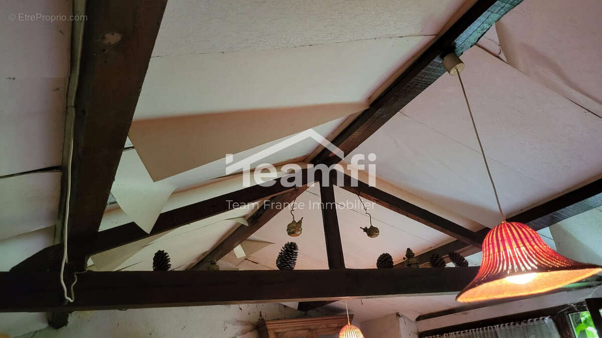 Maison à LA MONNERIE-LE-MONTEL