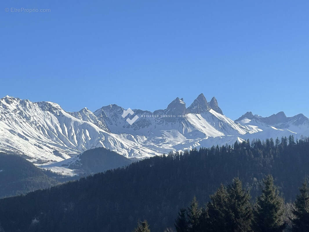 Terrain à JARRIER