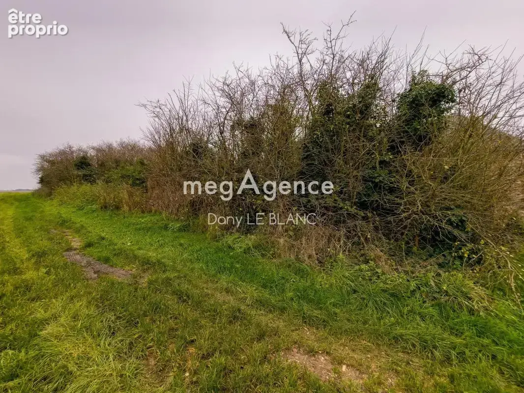 Terrain de loisir de 750 m² - Cadre paisible - photo 2
