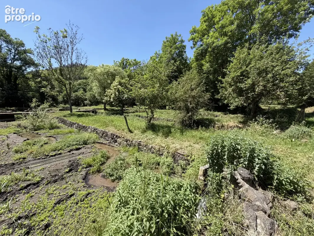 Saint-Diéry   Belle propriété avec 8 bassins de pisciculture sur 5 548 m2 - photo 2