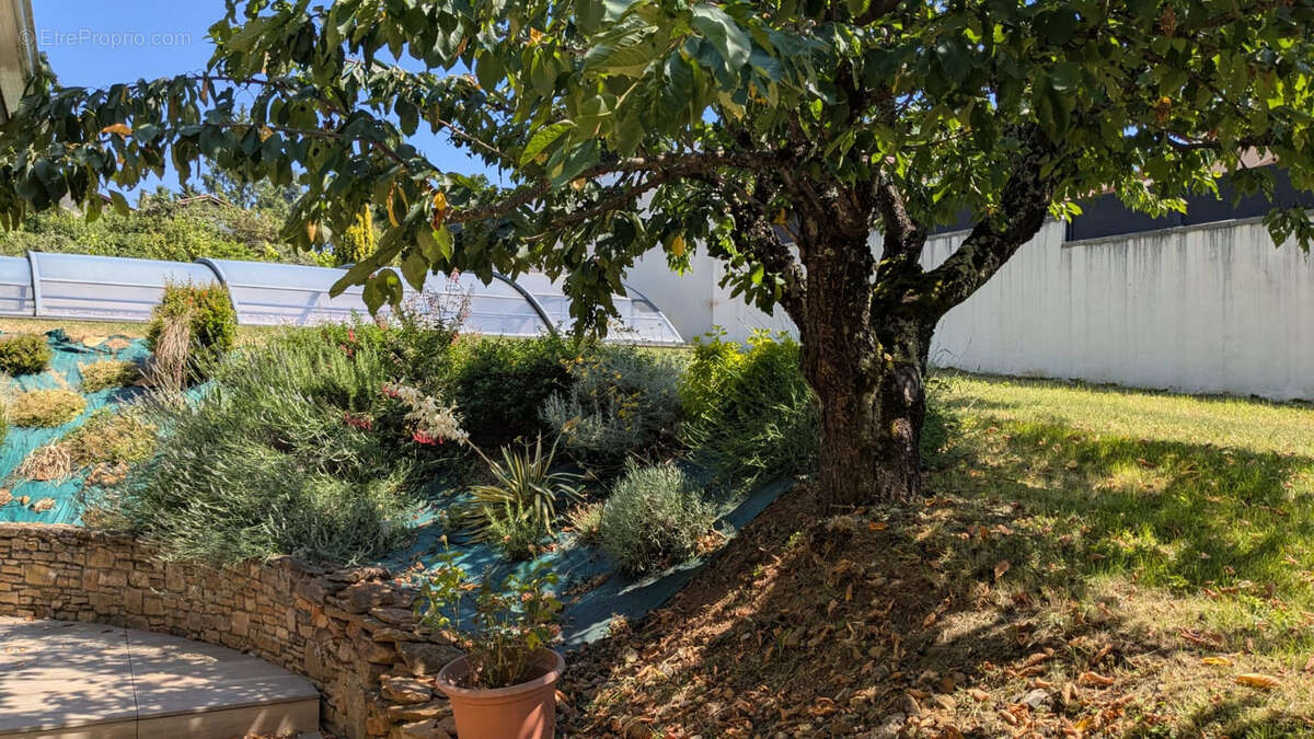 Maison à LACHASSAGNE