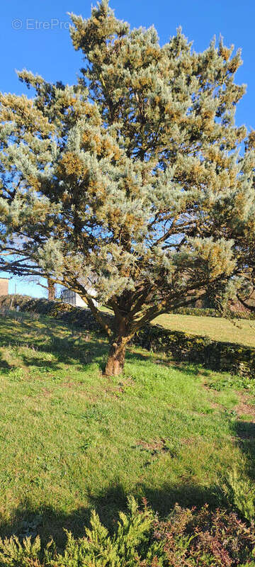 Terrain à SAINT-MAXIRE