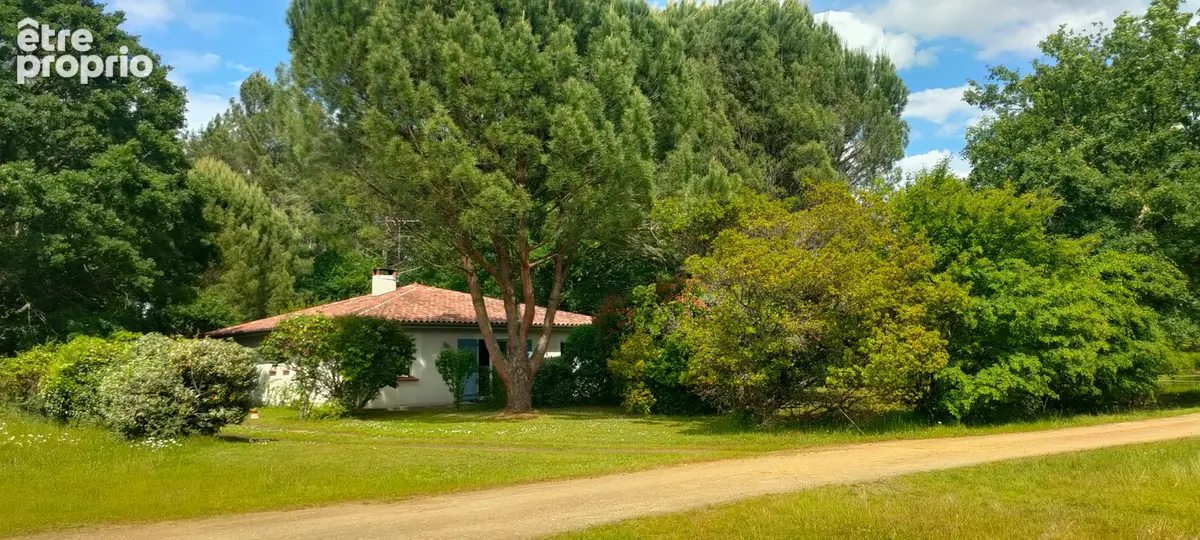 Garein - maison recente en bordure de forêt - photo 2