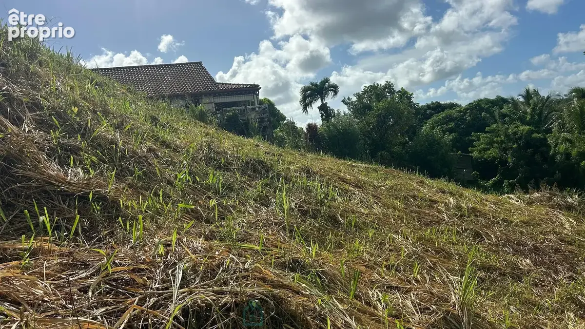 Terrain 800 m² à vendre à Riviere-Salee (97215) - photo 3