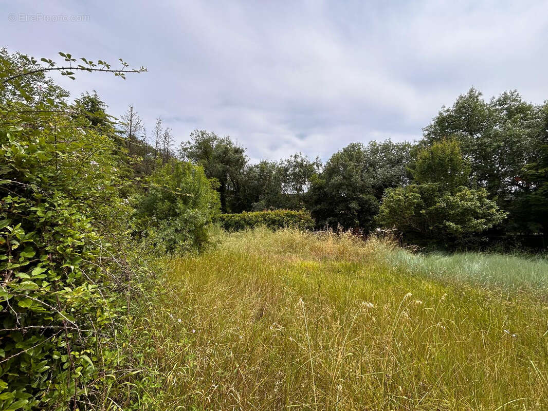 Terrain à PRADES-LE-LEZ