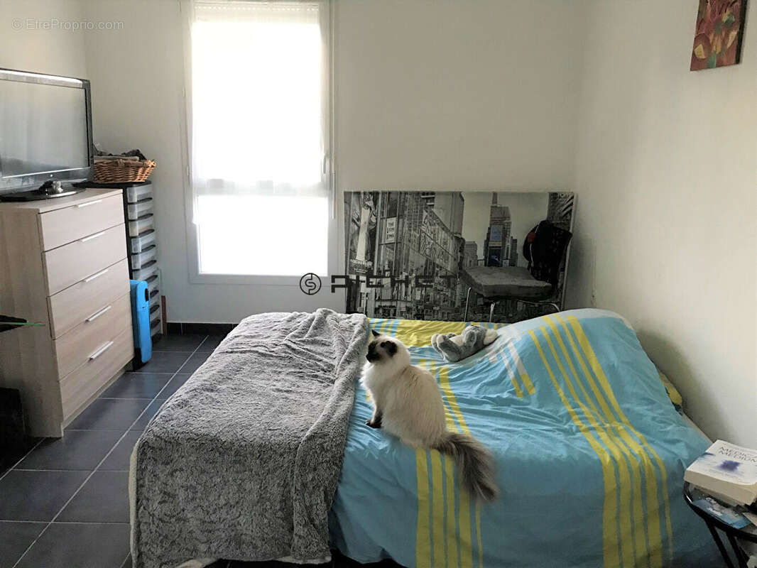 Lanton investisseur - photo 2